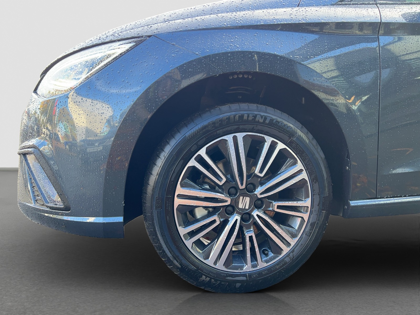 Seat Ibiza 1.0 ROAD EDITION DSG PDC RFK KESSY SHZ