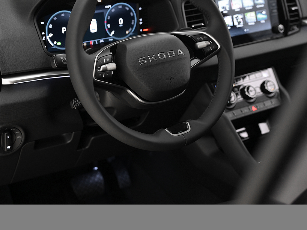 Skoda Karoq 2.0 BALANCE DSG AHK MATRIXLED KEYLESS