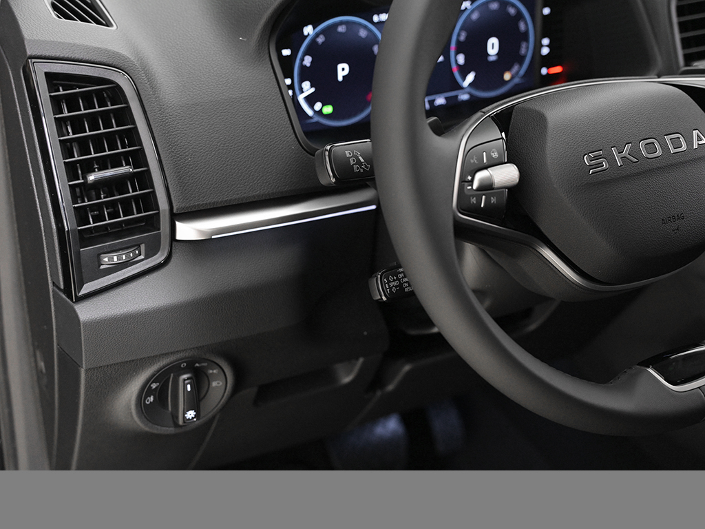 Skoda Karoq 1.5TSI DSG Balance AHK ACC NAV RFK SHZ PDC