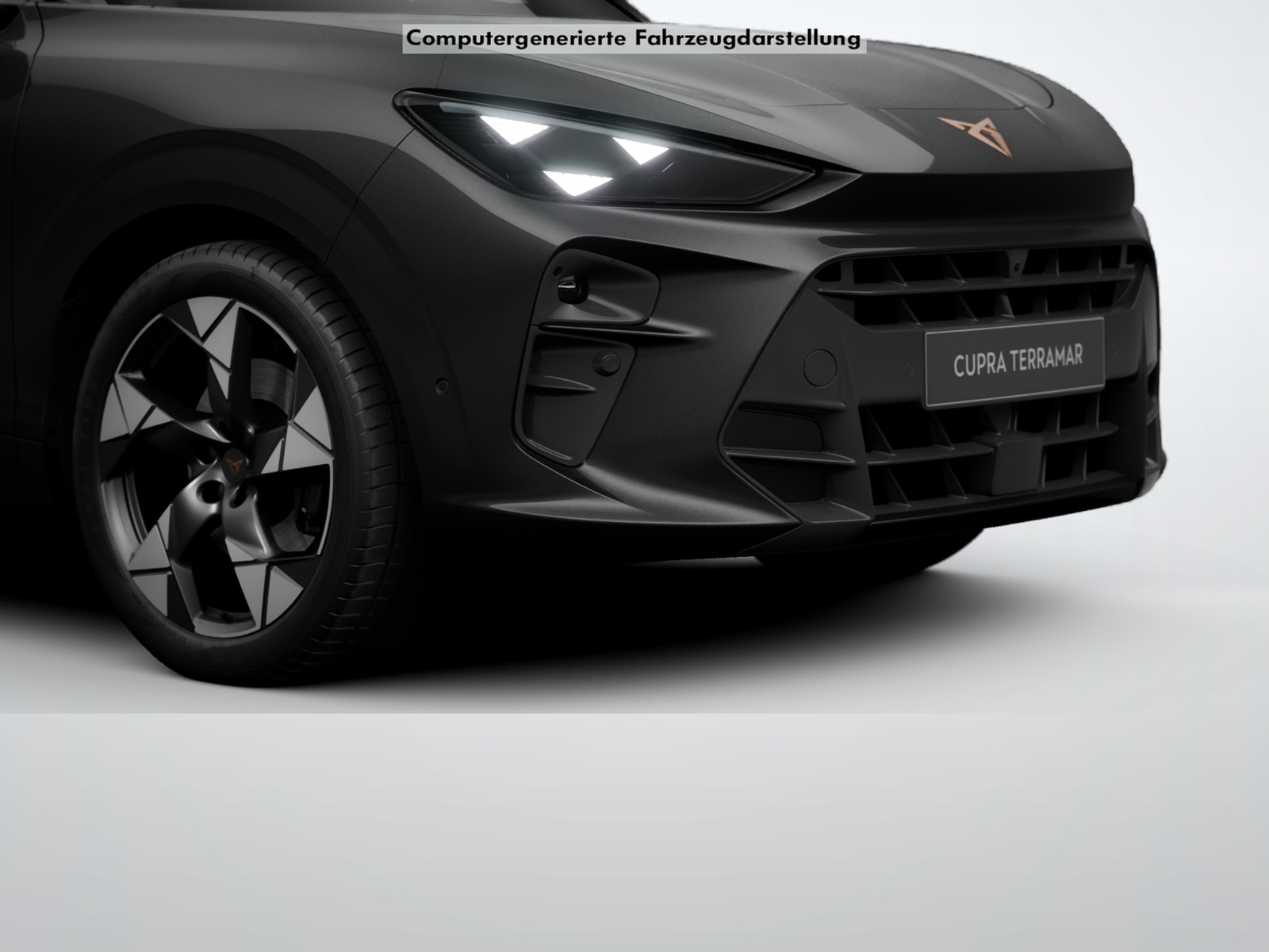 Cupra Terramar 1.5 HYBRID PANO 360°CAM ACC LM20 HEADUP
