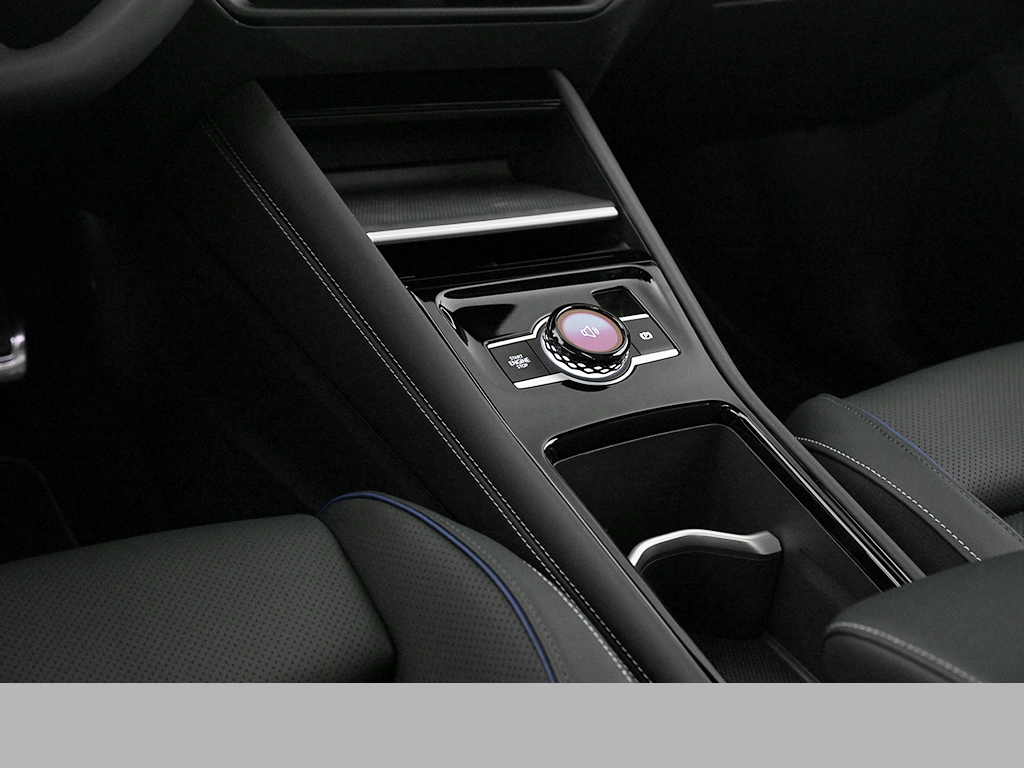 Volkswagen Tiguan 2.0 R-LINE DSG 4X4 LEDER STANDHZG PANO