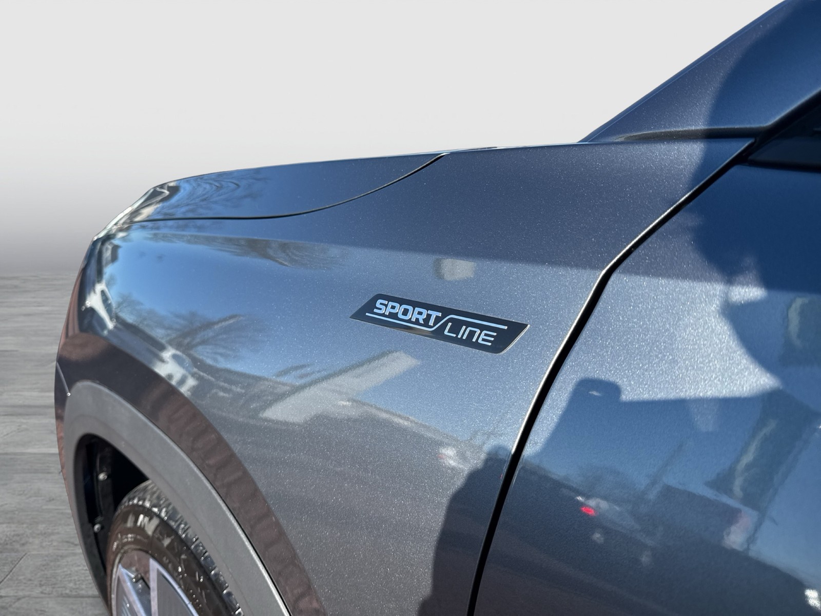 Skoda Kodiaq 2.0 SPORTLINE 4X4 7SITZE PANO STANDHZ CAM