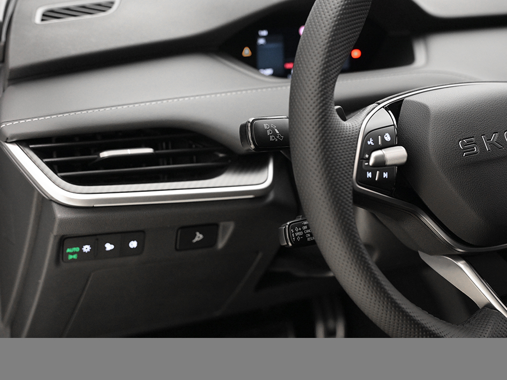 Skoda Enyaq 60 SPORTLINE AHK WÄRMEPUMPE MATRIXLED LM20