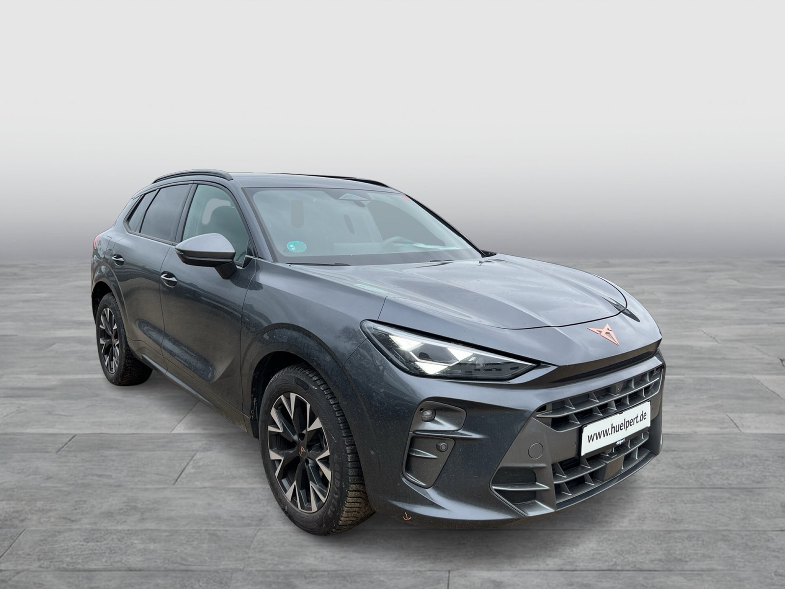 Cupra Terramar 1.5 eTSI 360CAM ACC LM18 HEADUP EKLAPPE