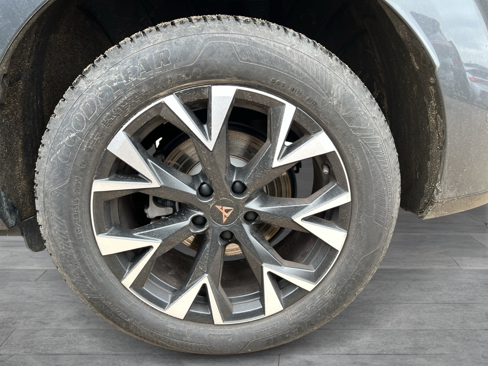 Cupra Terramar 1.5 eTSI 360CAM ACC LM18 HEADUP EKLAPPE