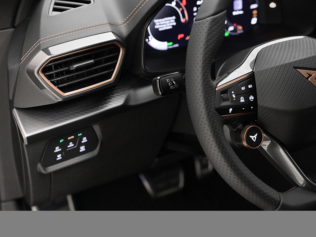 Cupra Formentor 1.5 DSG AHK eKLAPPE KEYLESS LM19