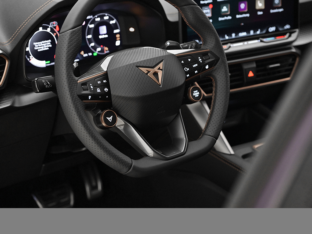 Cupra Formentor 1.5 DSG AHK eKLAPPE KEYLESS LM19