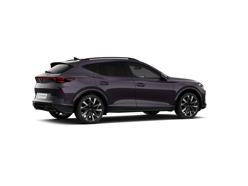 Cupra Formentor 1.5 DSG AHK eKLAPPE KEYLESS LM19