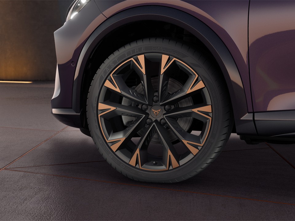 Cupra Formentor 1.5 DSG AHK eKLAPPE KEYLESS LM19