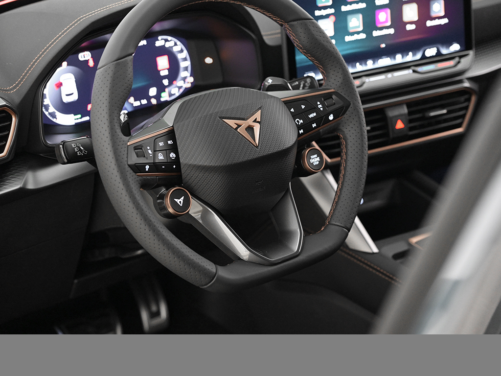 Cupra Formentor 1.5 DSG KEYLESS 360CAM eKLAPPE LM18