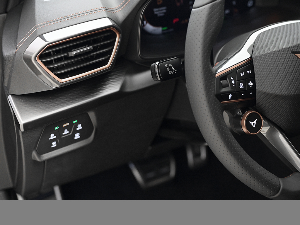 Cupra Formentor 1.5 DSG AHK KEYLESS eKLAPPE LM19
