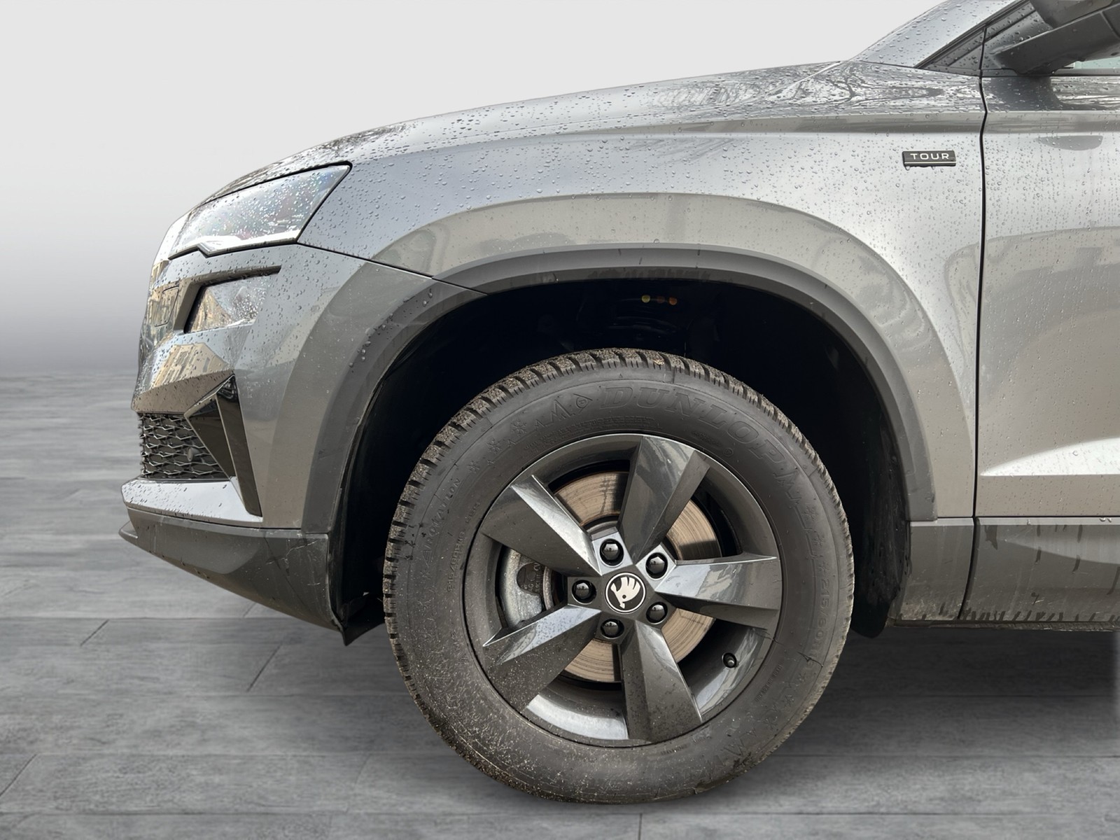 Skoda Karoq 2.0 TOUR STANDHZ. AHK CAM LM18 MATRIXLED