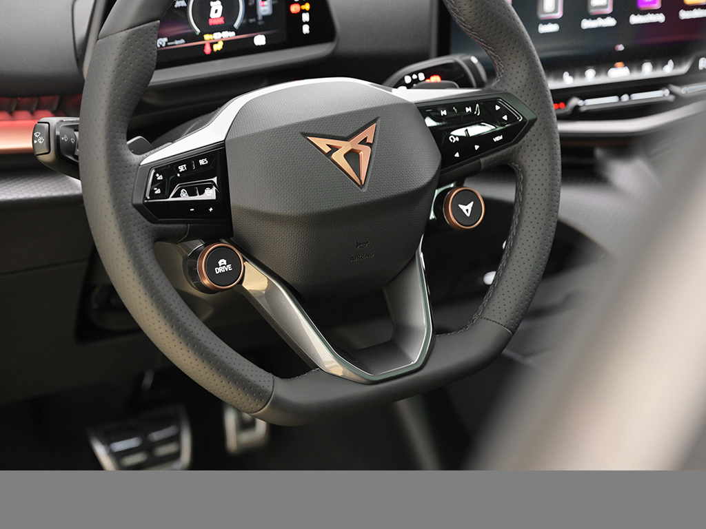 Cupra Tavascan ENDURANCE PANO eSITZE HEADUP WÄRMEPUME