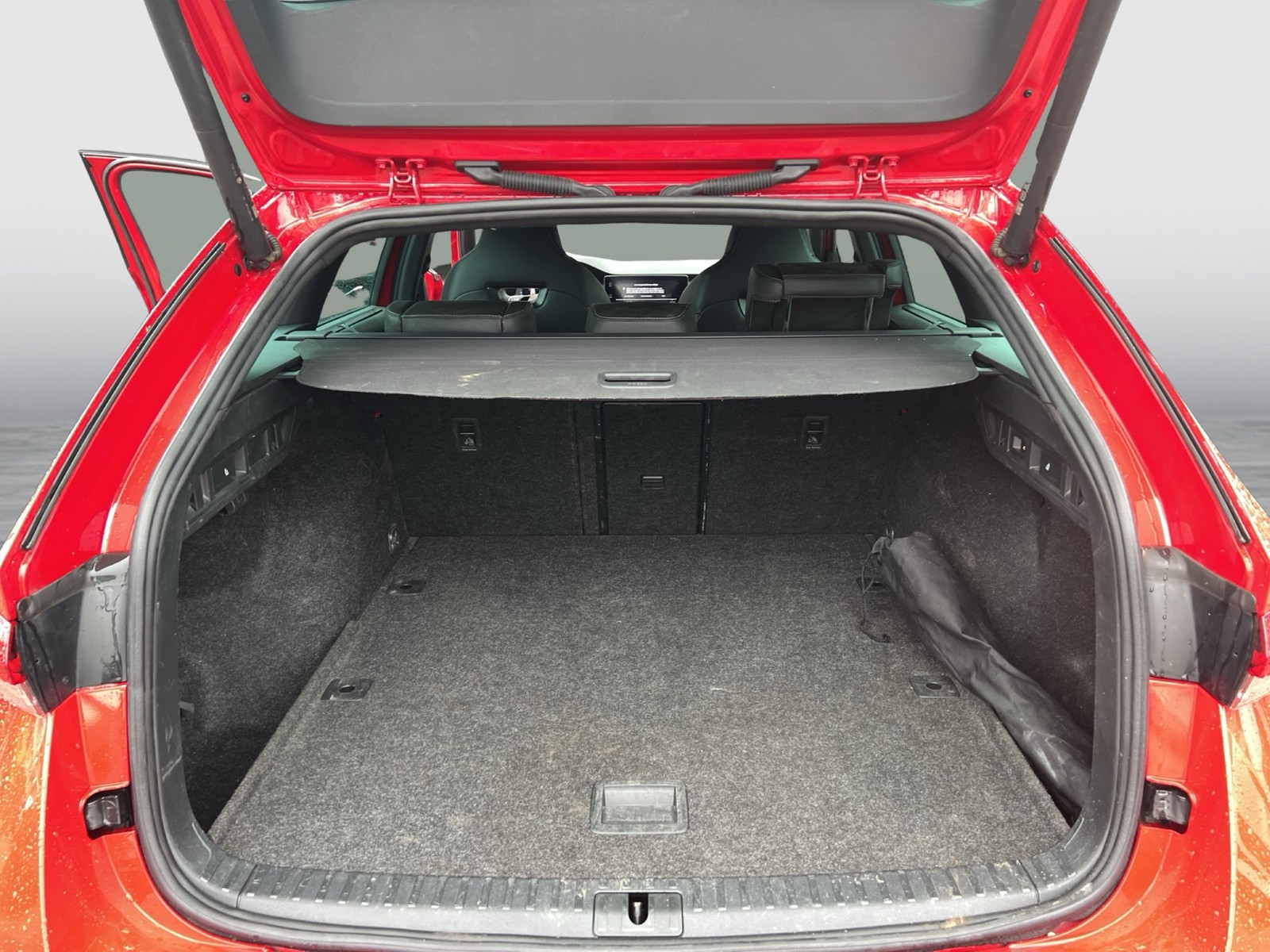 Skoda Octavia Combi 2.0 RS PLUS CANTON AHK CAM LM19