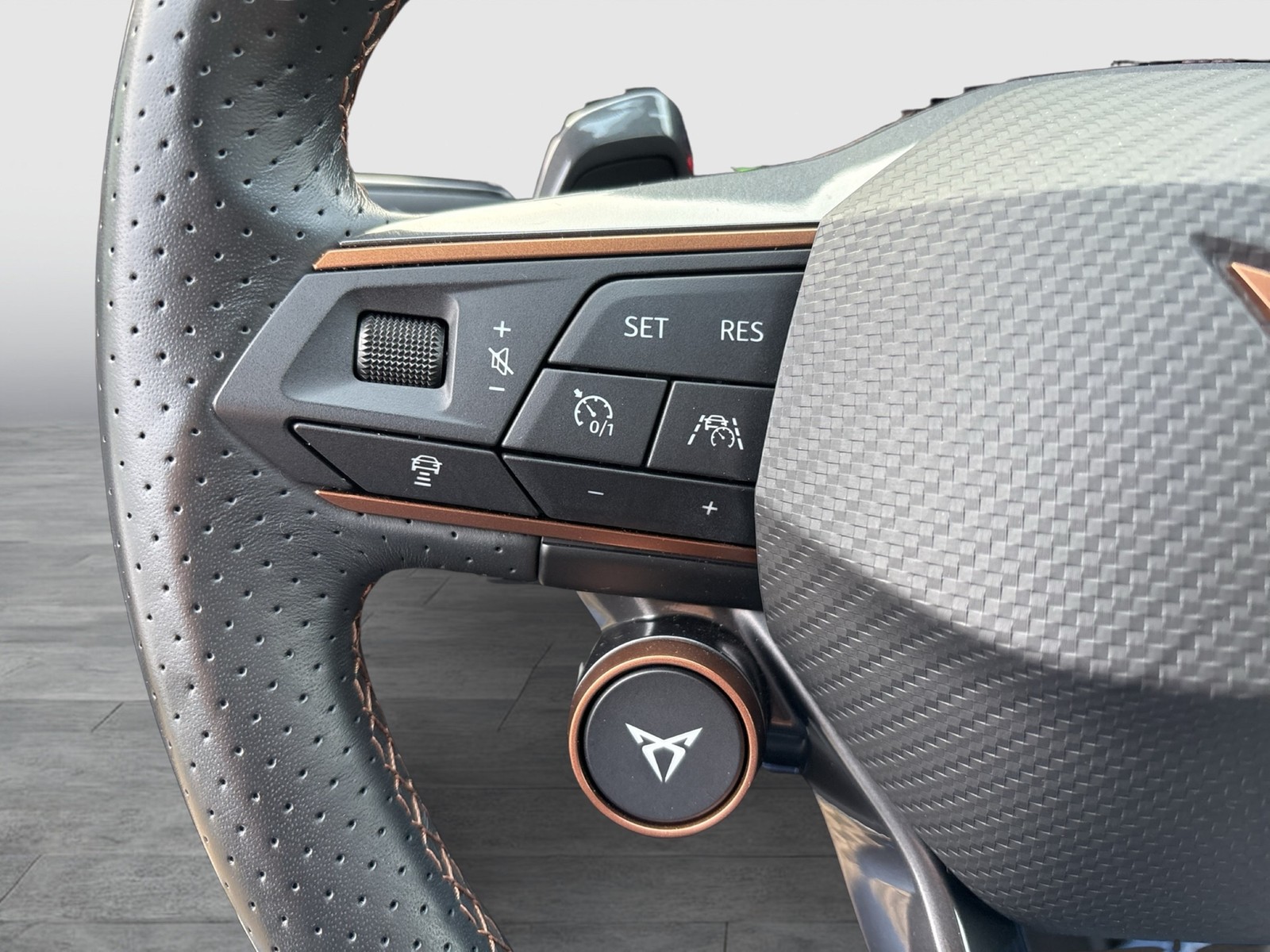 Cupra Formentor 1.4 HYBRID VZ LEDER AHK CAM ACC LM19
