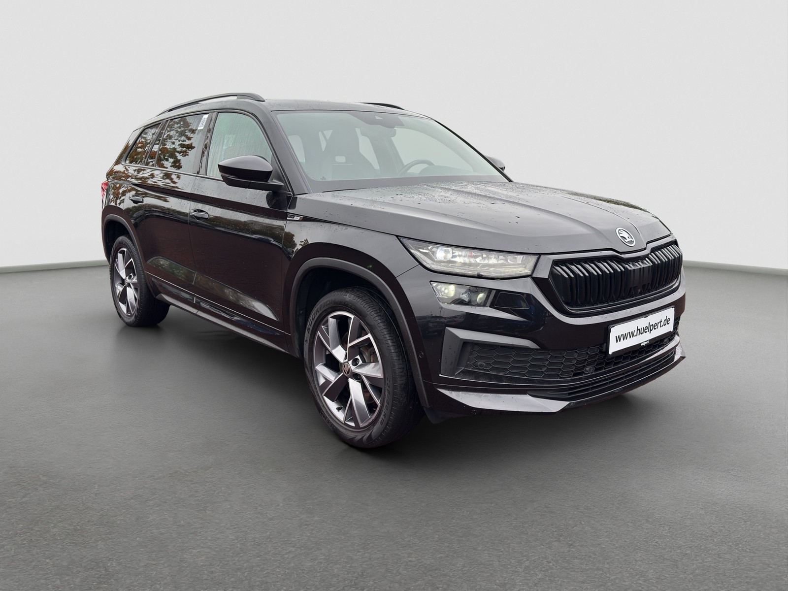 Skoda Kodiaq 2.0 SPORTLINE 4X4 STANDHZ AHK 360CAM LM19