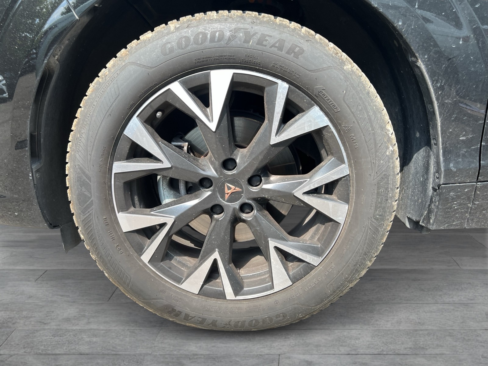 Cupra Terramar 1.5 eTSI 360CAM ACC LM18 HEADUP EKLAPPE