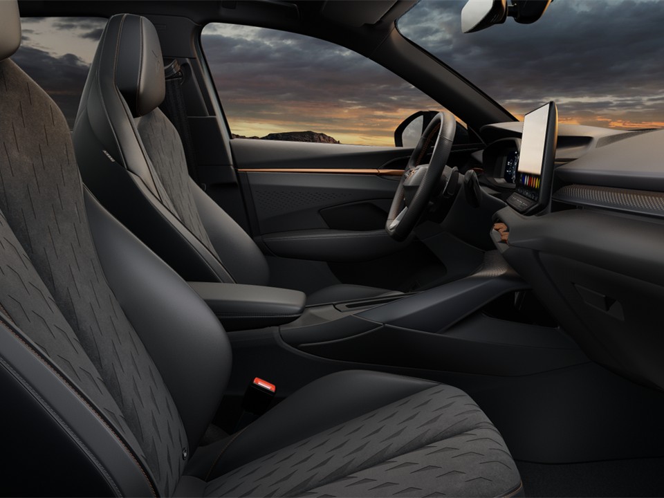 Cupra Terramar 2.0 DSG 4x4 AHK PANNO HEADUP eSITZE 