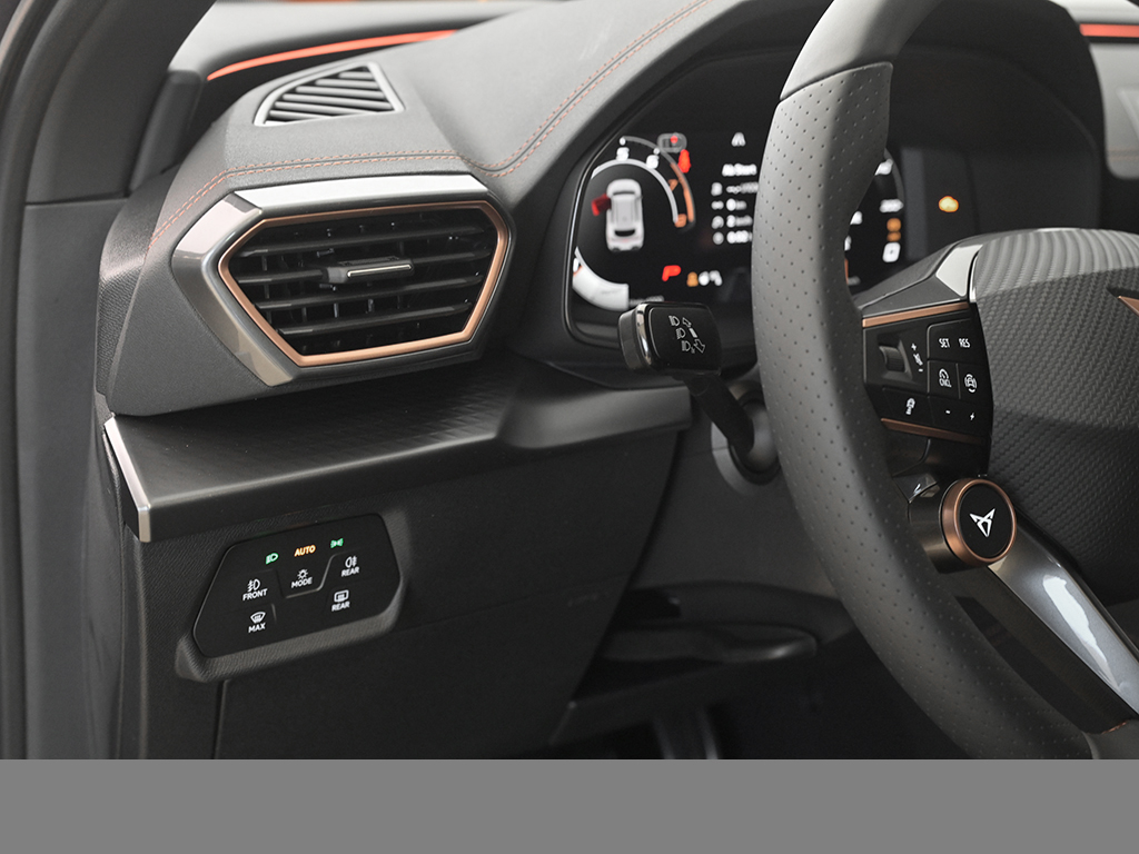 Cupra Formentor 2.0 VZ DSG AHK MATRIXLED NAVI 360CAM