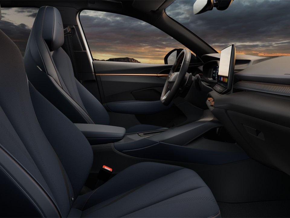 Cupra Terramar 2.0 DSG 4DRIVE PANO eKLAPPE KEYLESS