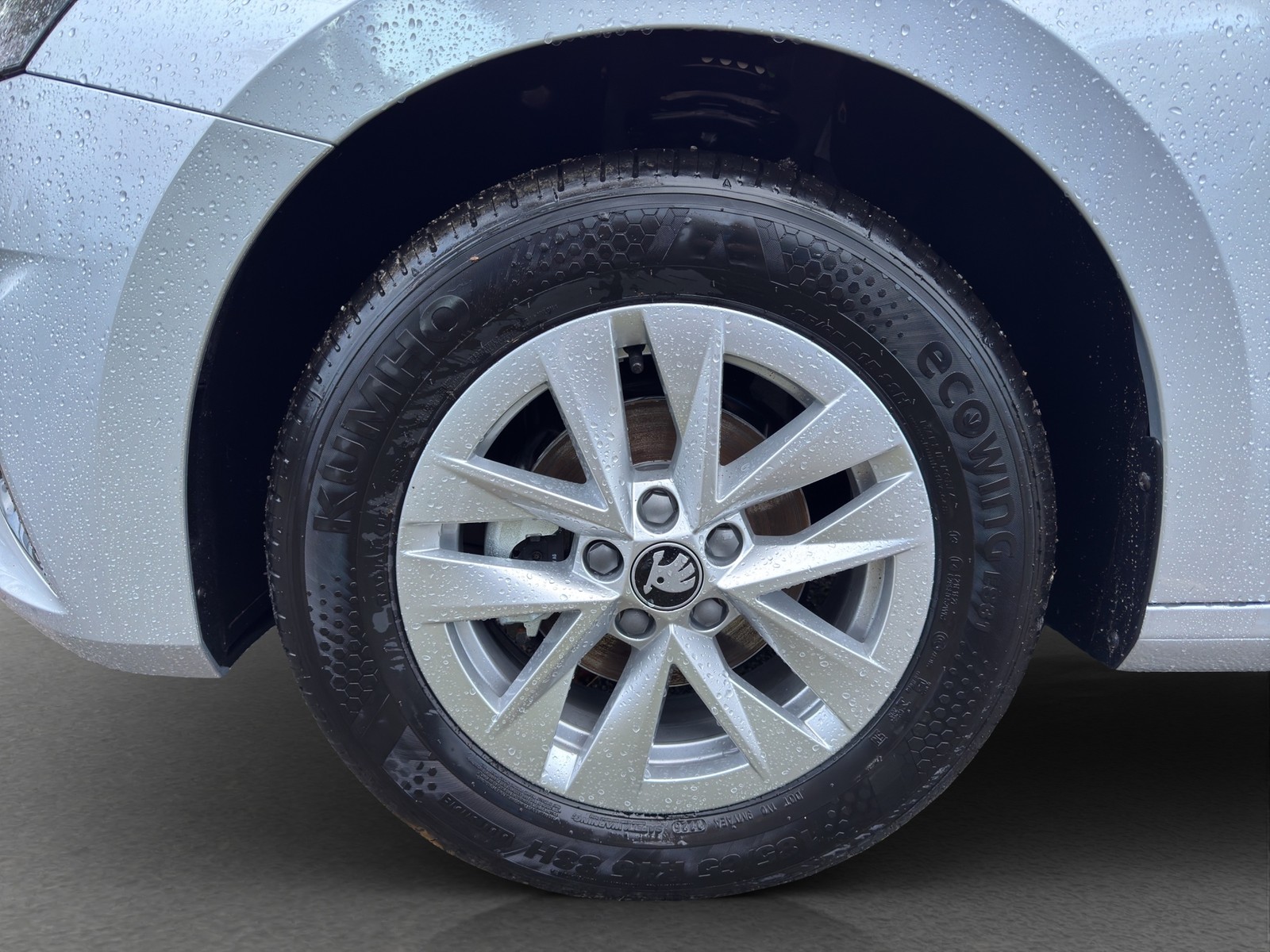 Skoda Fabia 1.0TSI Selection SHZ PDC CarPlay