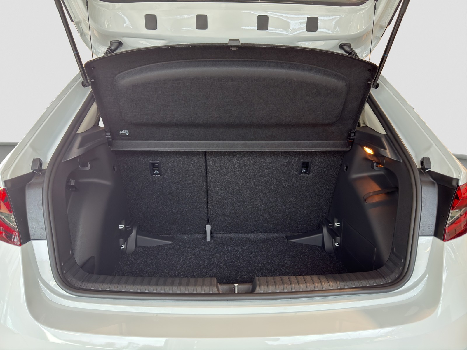 Skoda Fabia 1.0TSI Selection SHZ PDC CarPlay