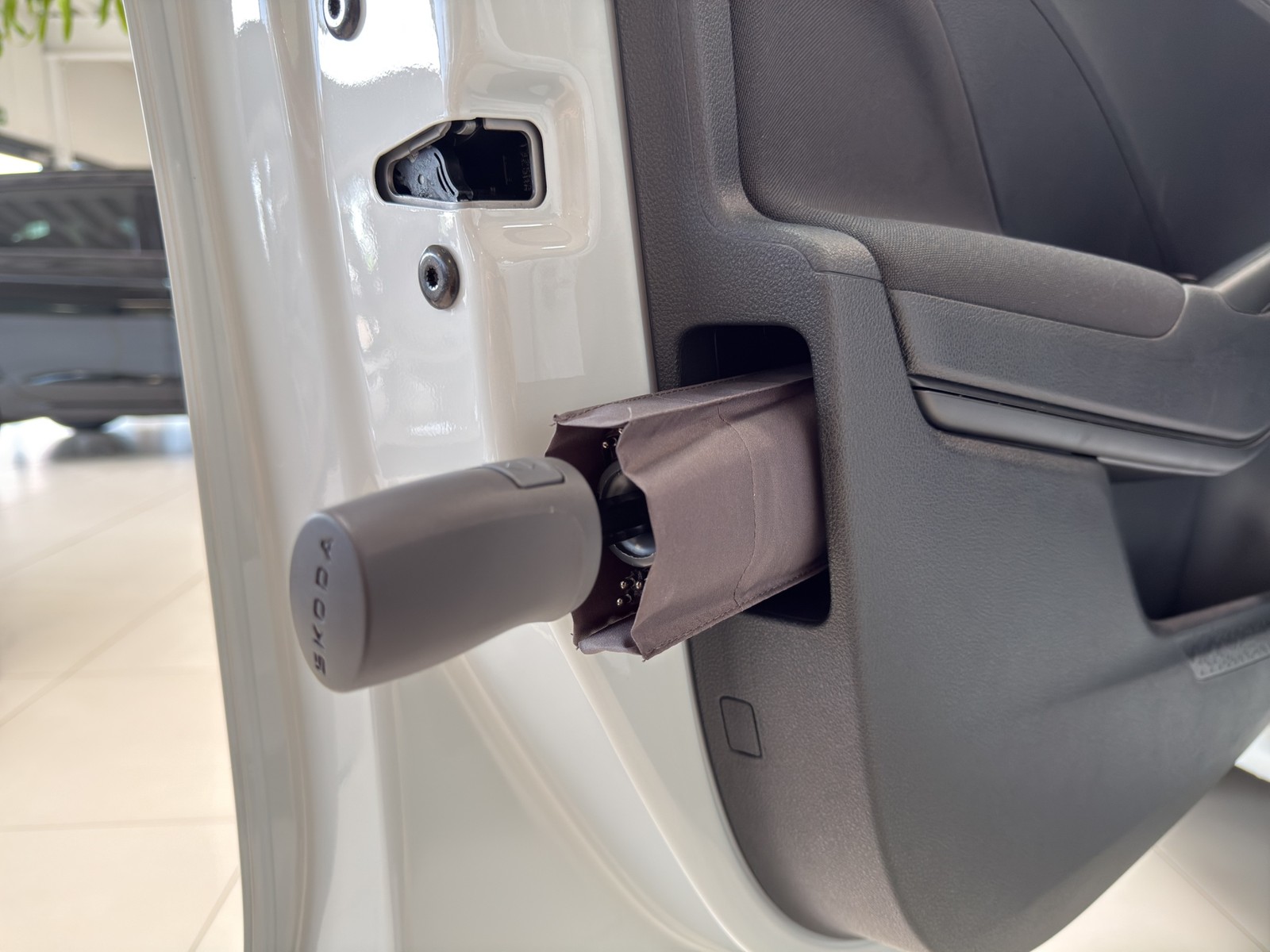 Skoda Fabia 1.0TSI Selection SHZ PDC CarPlay