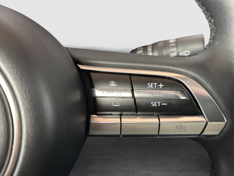 Mazda CX-30 2.0 SELECTION PANO BOSE MATRIX LEDER LM18 NAVI