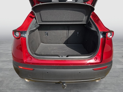 Mazda CX-30 2.0 SELECTION PANO BOSE MATRIX LEDER LM18 NAVI