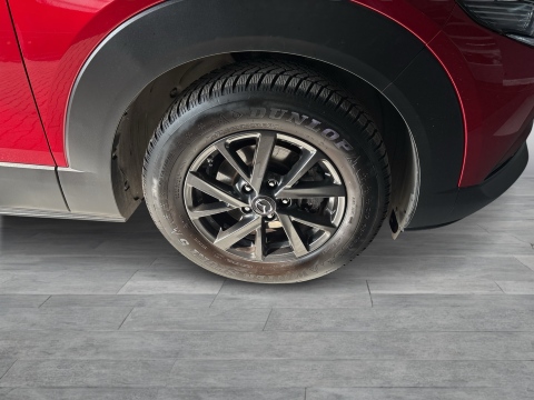 Mazda CX-30 2.0 SELECTION PANO BOSE MATRIX LEDER LM18 NAVI