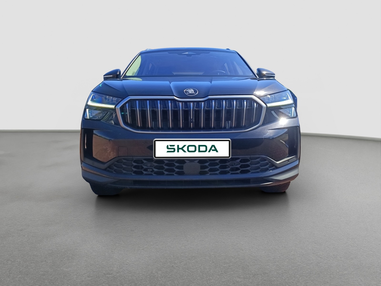 Skoda Kodiaq Selection NAVI 4x4 MATRIX SITZHEIZ AHK