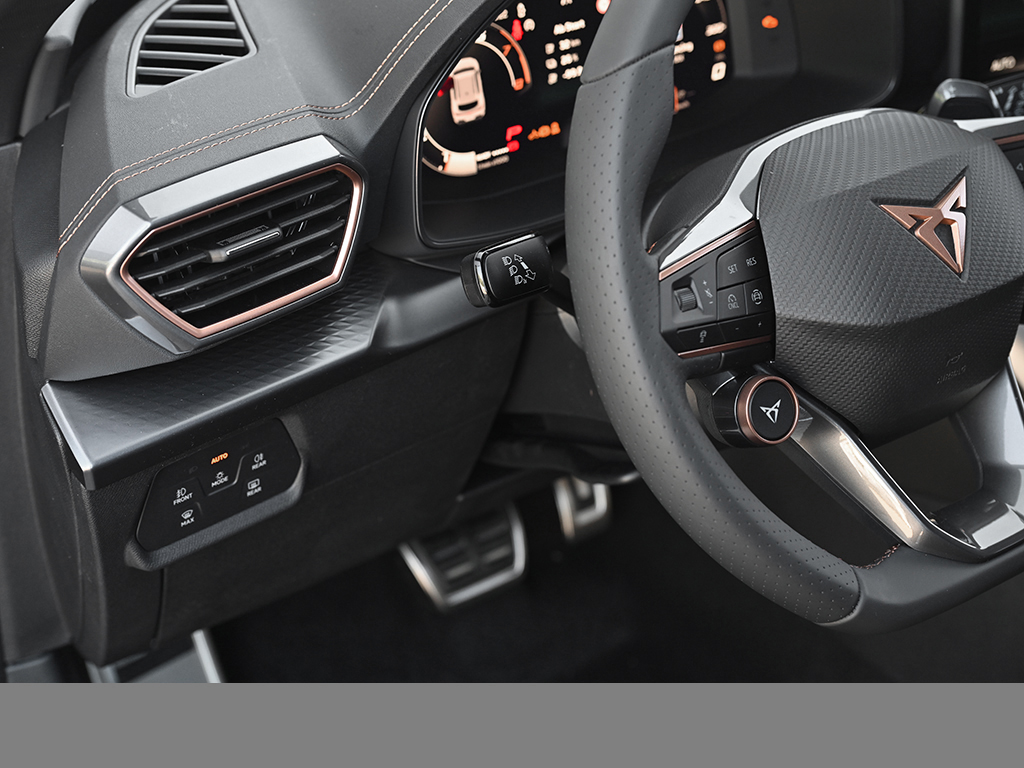 Cupra Formentor 1.5 VZ HYBRID DSG SENNH. AHK 19LM
