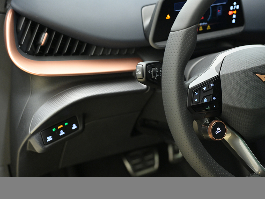 Cupra Tavascan VZ 4DRIVE WÄRMEPUMPE eSITZE PANO 360CAM