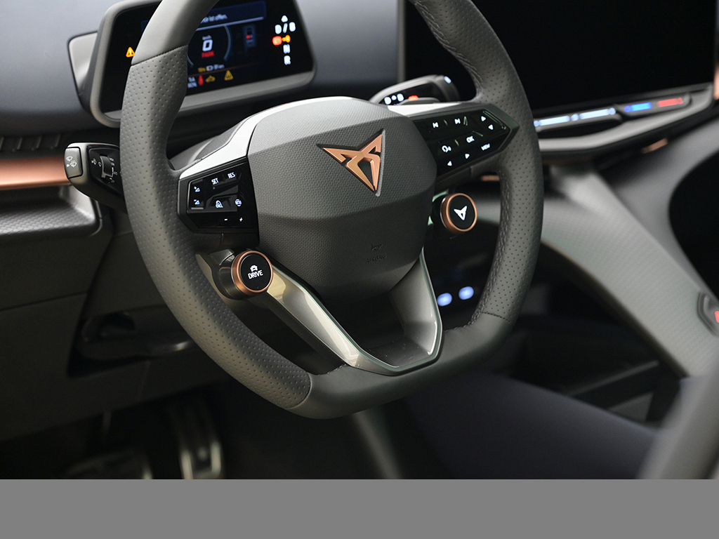 Cupra Tavascan VZ 4DRIVE WÄRMEPUMPE eSITZE PANO 360CAM