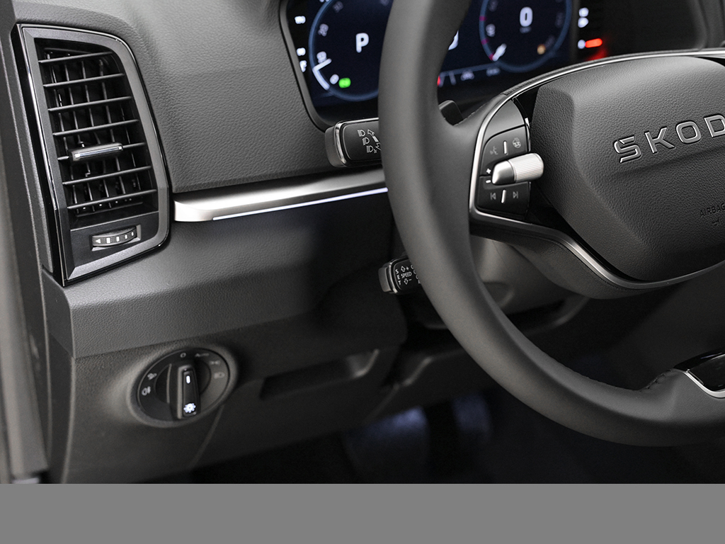 Skoda Karoq 1.5TSI DSG Balance NAV AHK ACC RFK SHZ