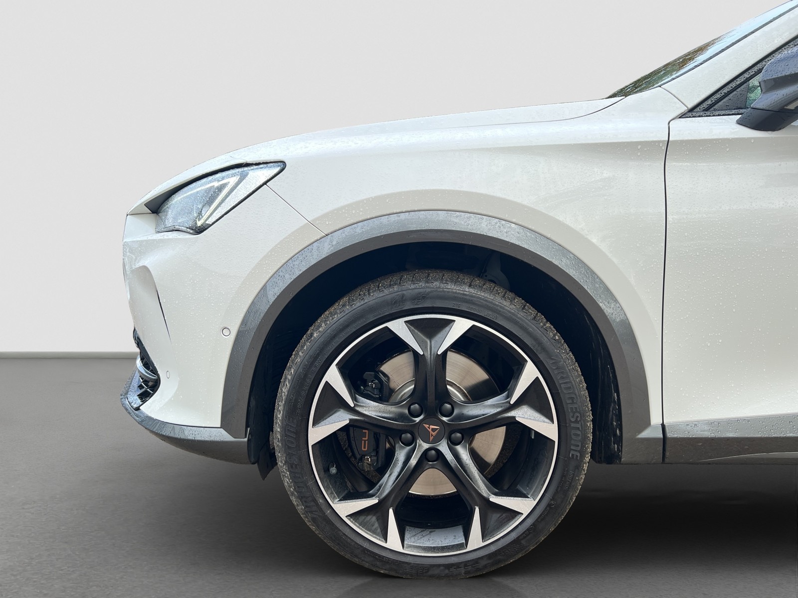 Cupra Formentor 2.0 VZ 4X4 CAM ACC LM19 E-KLAPPE NAVI