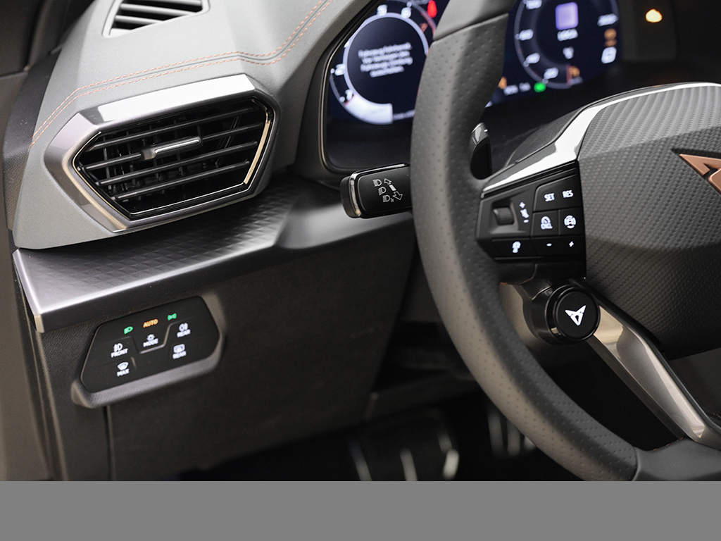 Cupra Formentor 2.5 VZ5 4DRIVE 360CAM PANO MATRIXLED