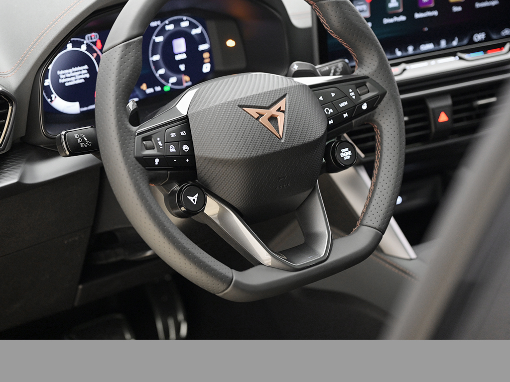 Cupra Formentor 2.5 VZ5 4DRIVE 360CAM PANO MATRIXLED