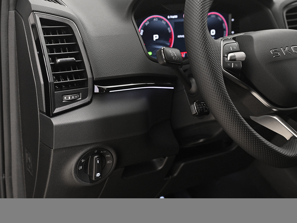 Skoda Karoq 1.5 SPORTLINE DSG AHK MATRIXLED LM19