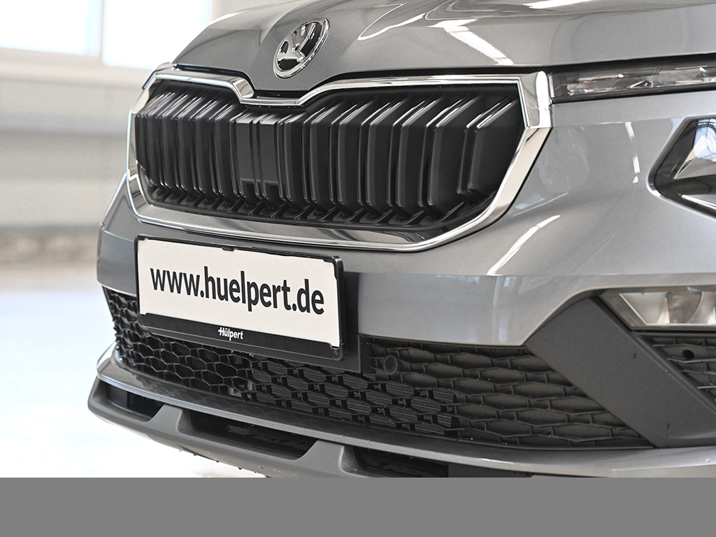 Skoda Kamiq 1.0 TOUR DSG AHK eKLAPPE MATRIXLED LM17