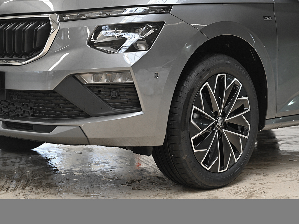 Skoda Kamiq 1.0 TOUR DSG MATRIXLED CAM eKLAPPE NAVI
