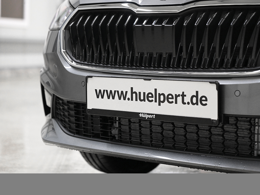 Skoda Fabia 1.5 TOUR DSG AHK LENKRAD-&SITZHZG CAM LED