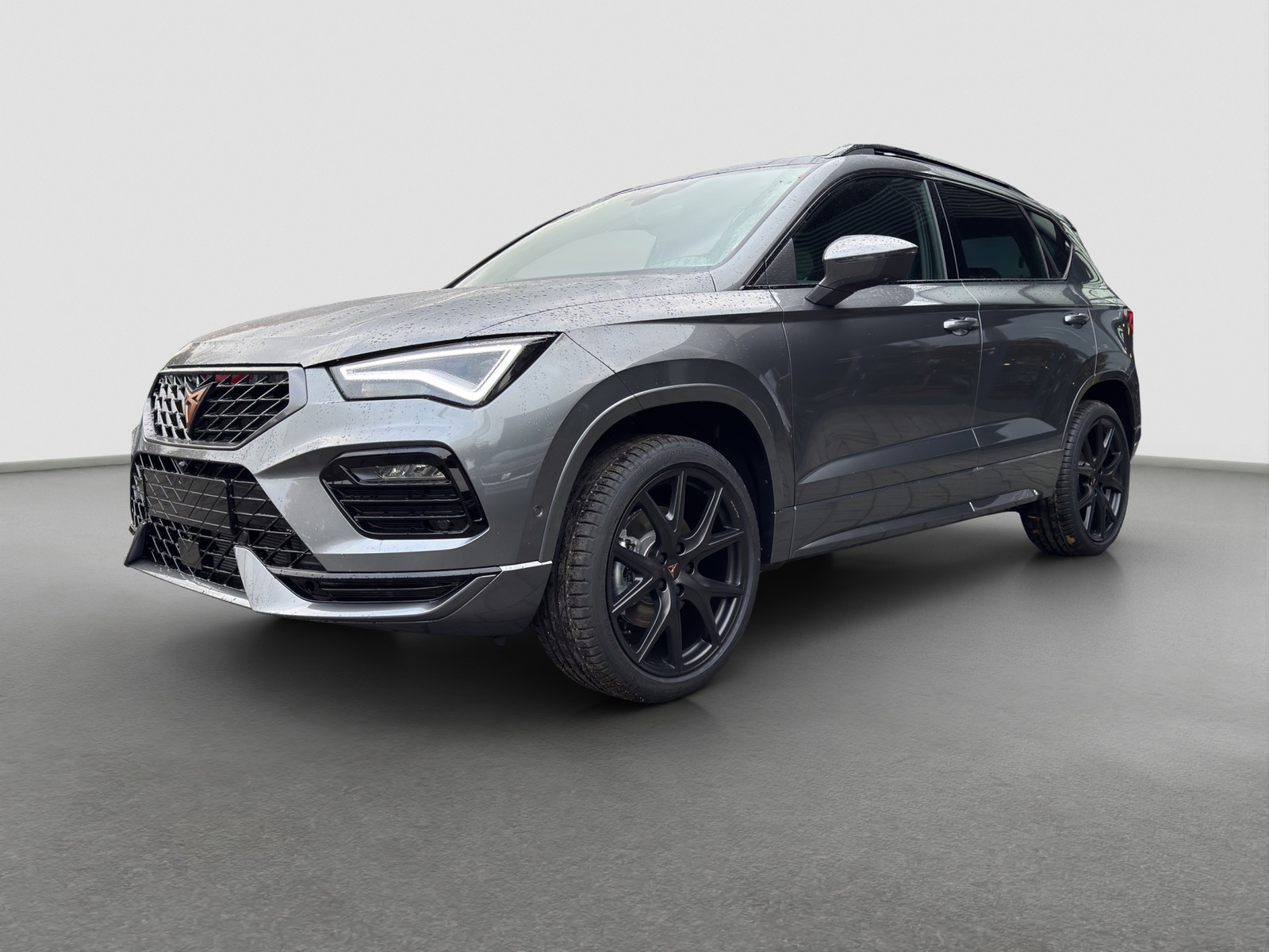Cupra Ateca 1.5 DSG AHK NAV ACC E-KLAPPE 19LM SHZ