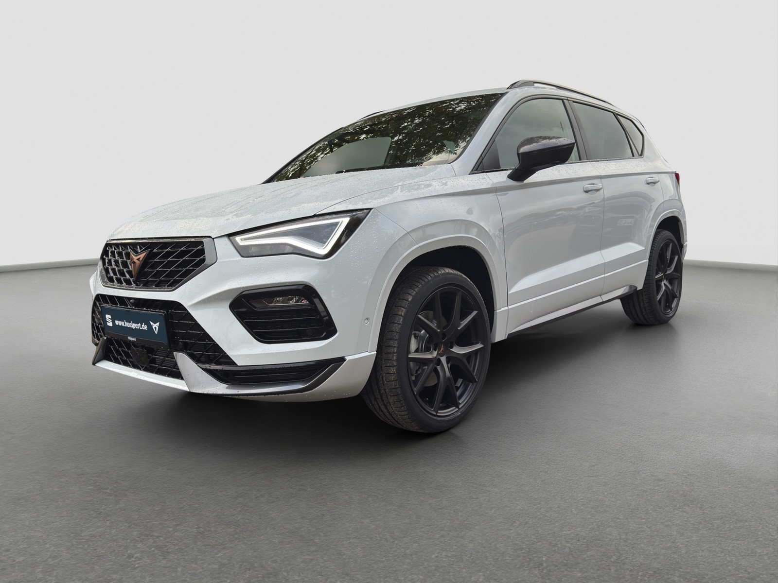 Cupra Ateca 1.5 DSG AHK PANO NAV ACC 19LM RFK E-KLAPPE