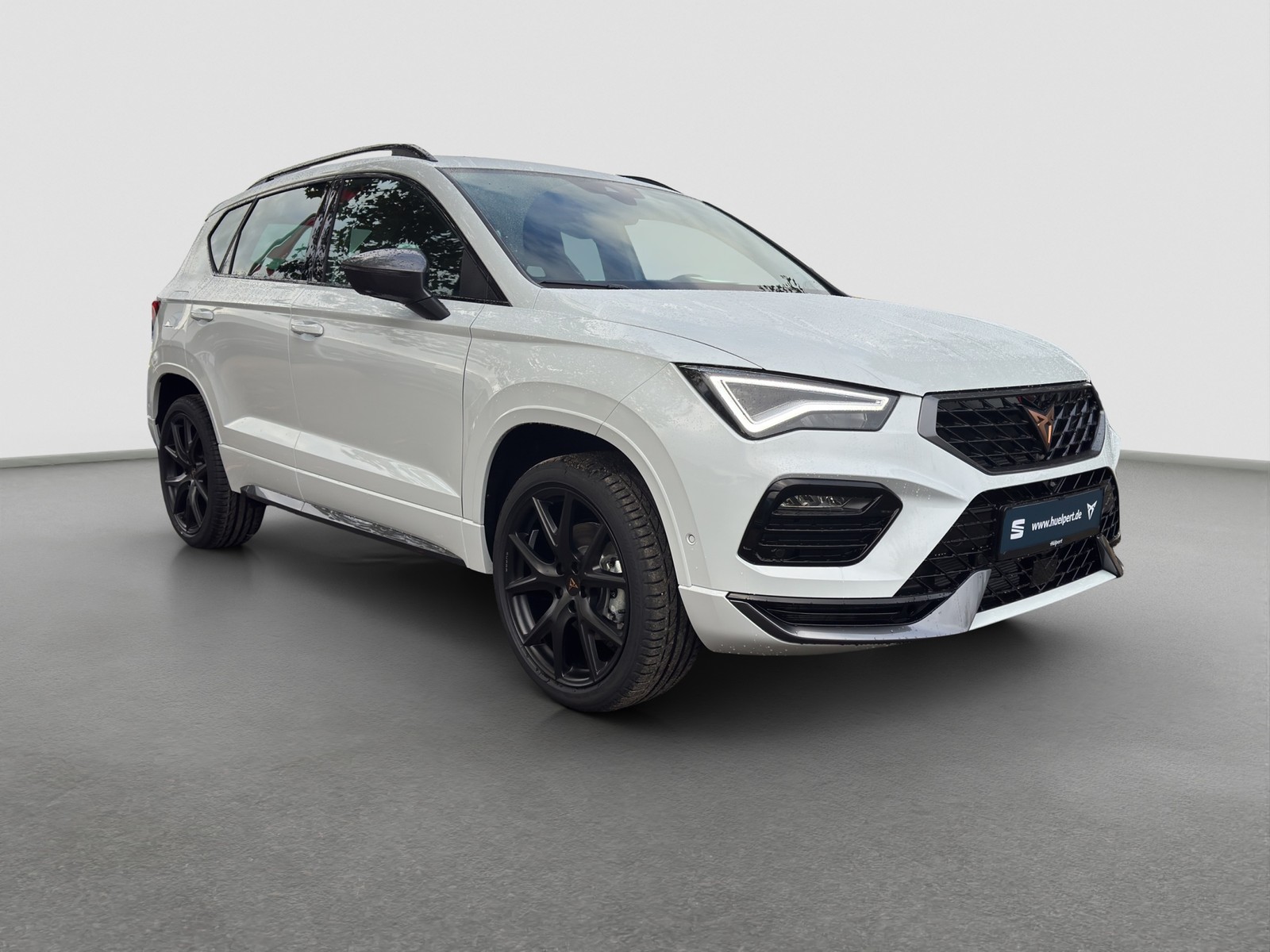 Cupra Ateca 1.5 DSG AHK PANO NAV ACC 19LM RFK E-KLAPPE