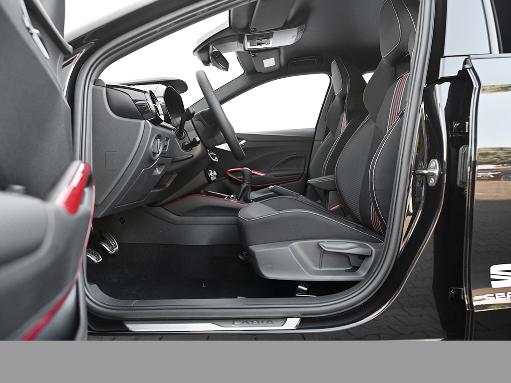 Skoda Fabia 1.0 MONTE CARLO CAM ACC NAVI ALU SITZHEIZ.