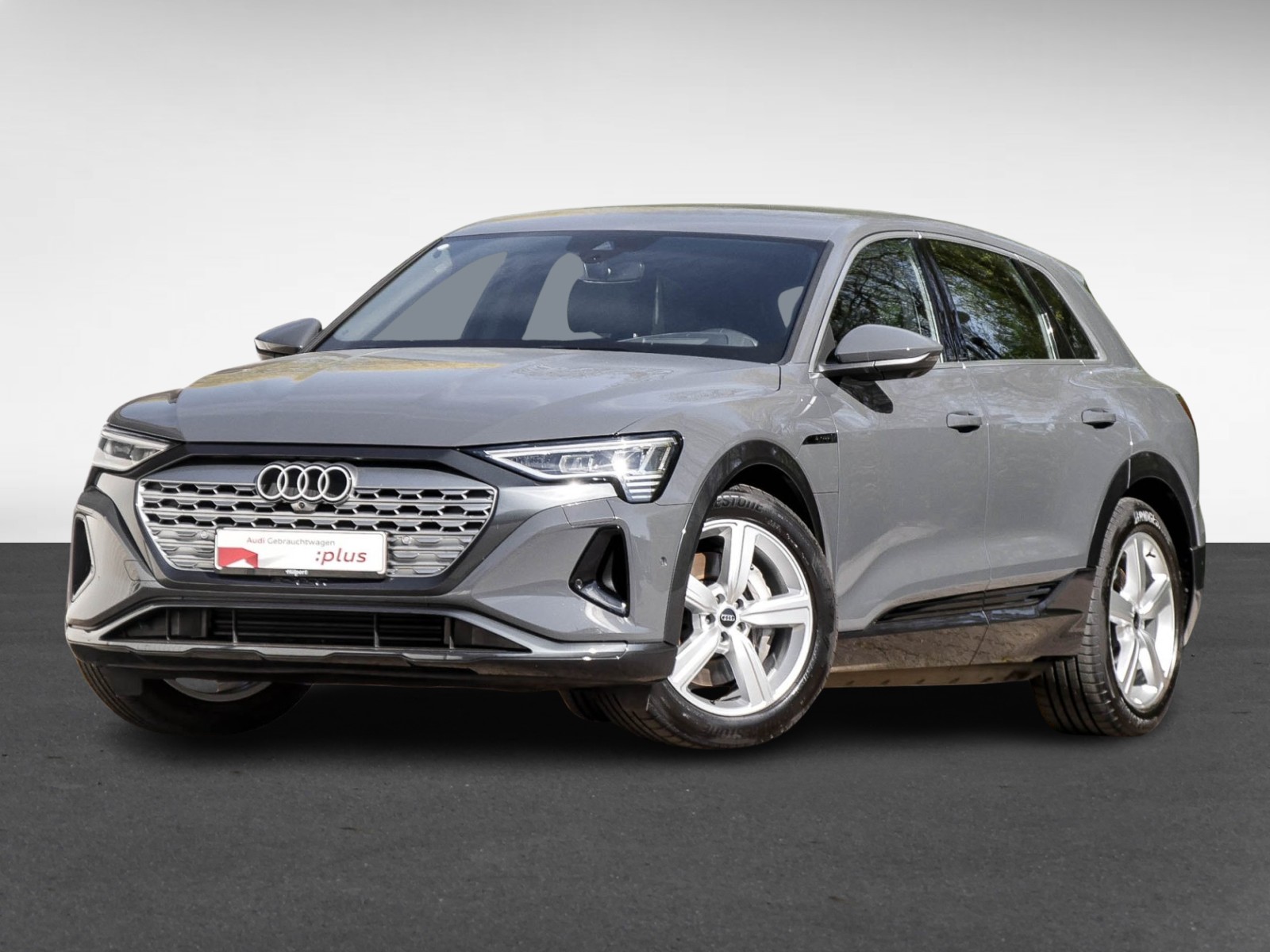 Audi Q8 e-tron 55 quattro advanced NAVI+ AHK LM20