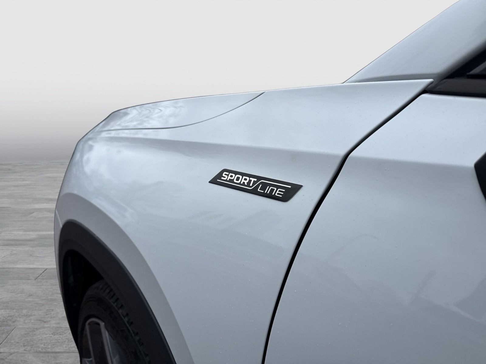 Skoda Kodiaq 2.0 SPORTLINE 4X4 7SITZE CAM LM20 HEAD-UP