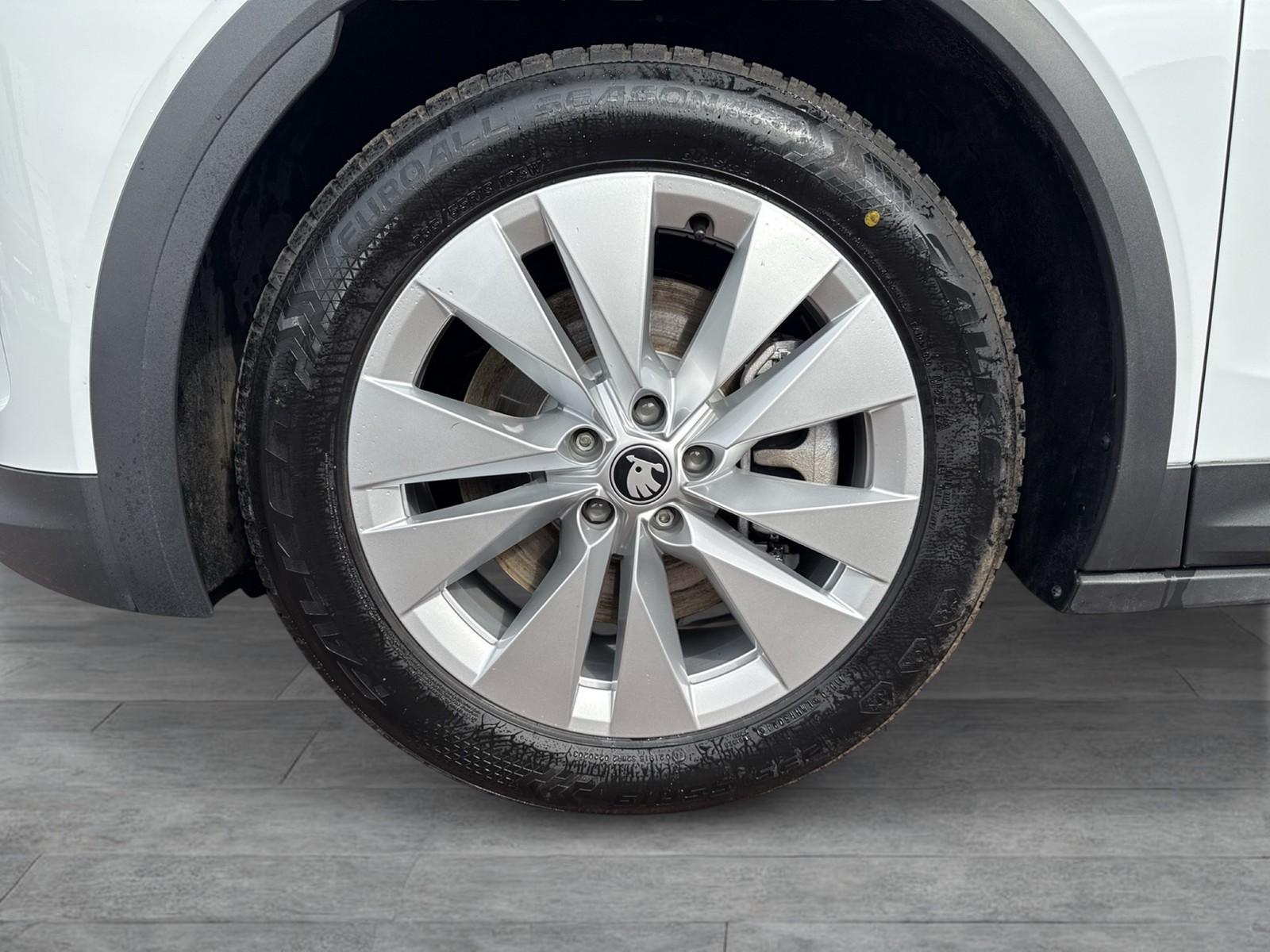 Skoda Elroq 85 LOFT WÄRMEPUMPE AHK CAM ACC LM19 MATRIX