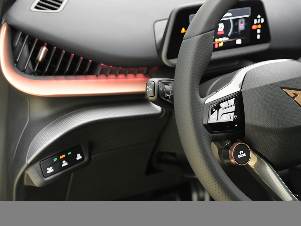 Cupra Tavascan ENDURANCE PANO eSITZE HEADUP WÄRMEPUME